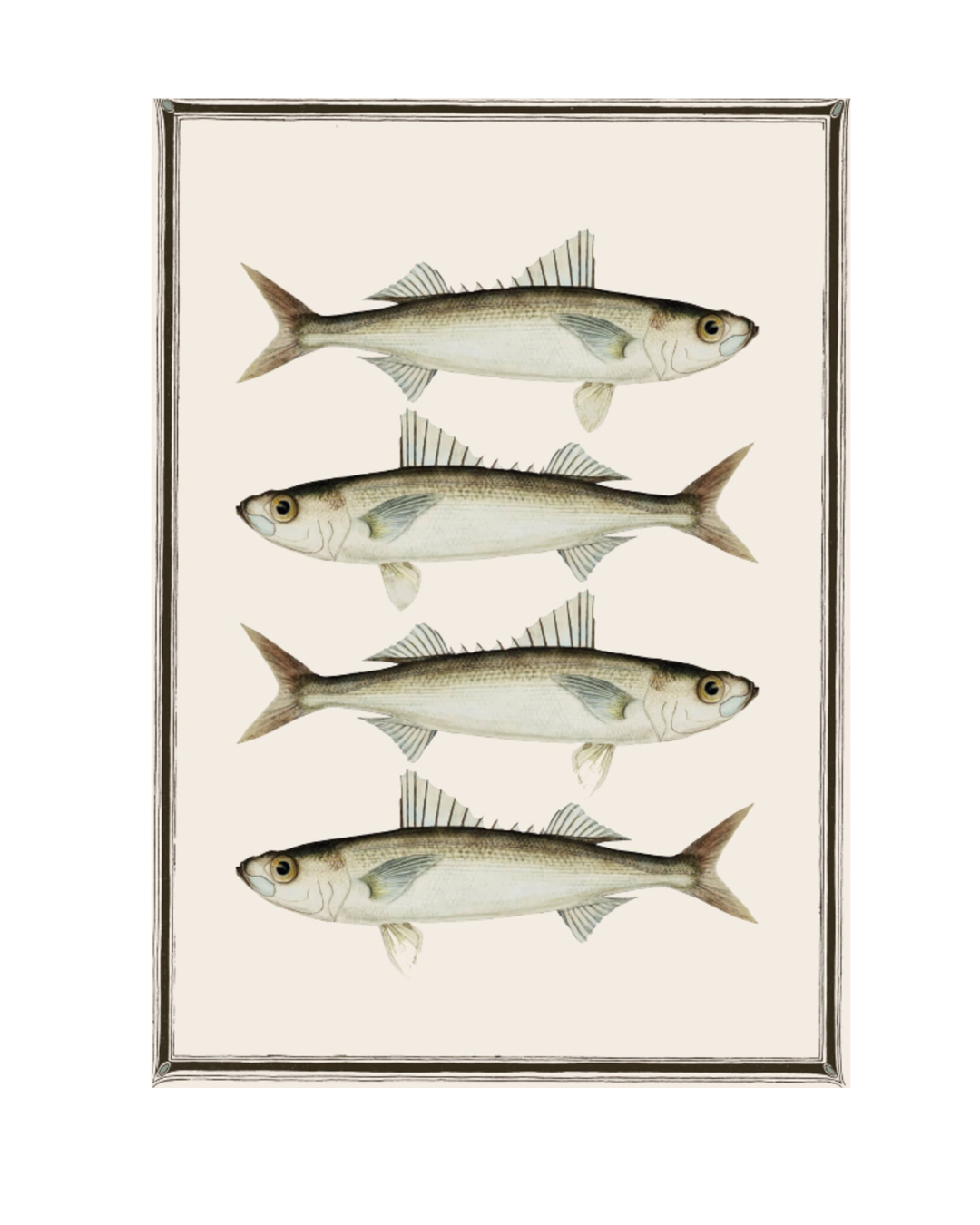 Canovaccio in cotone Sardine