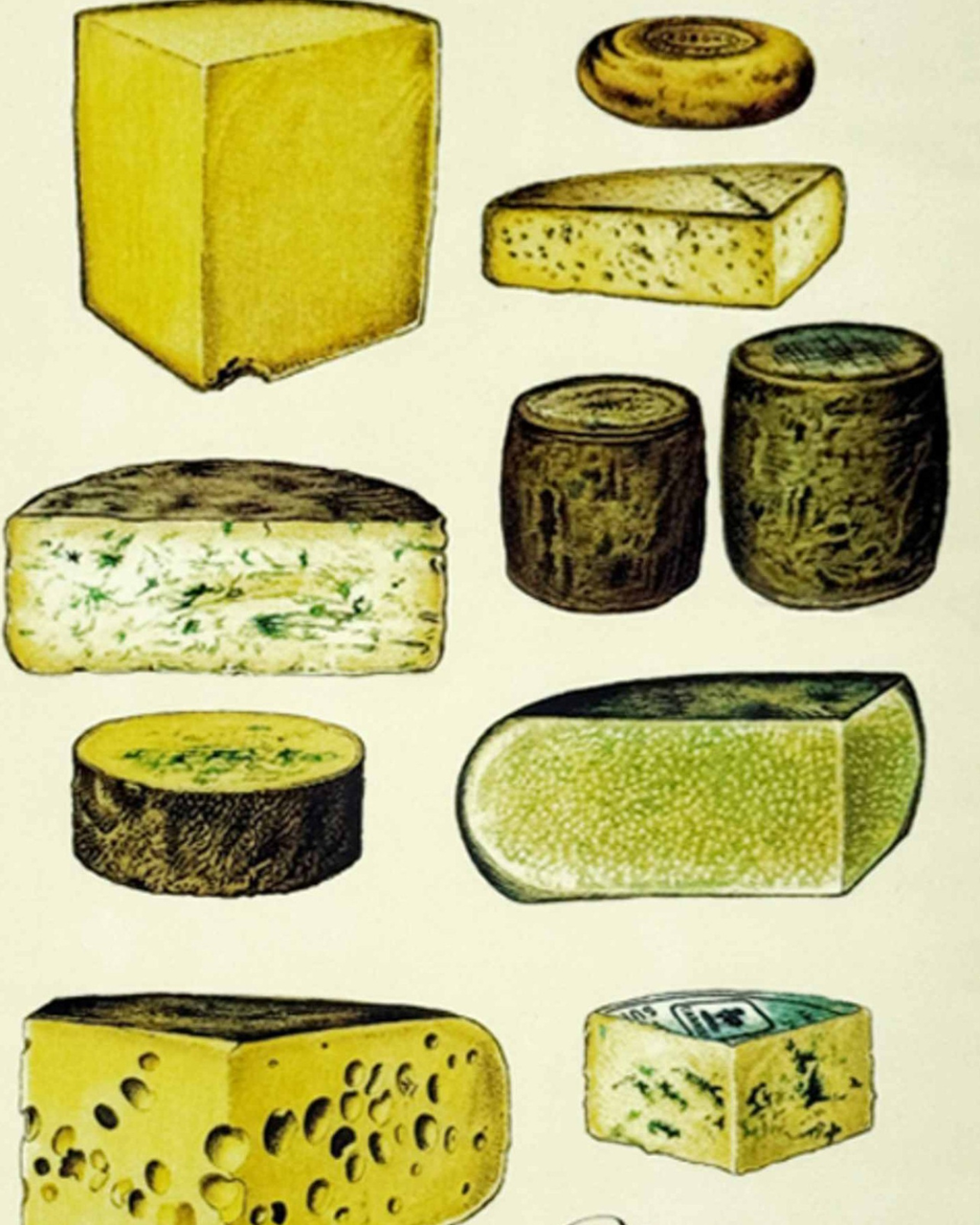 Vassoio / mattonella Formaggi
