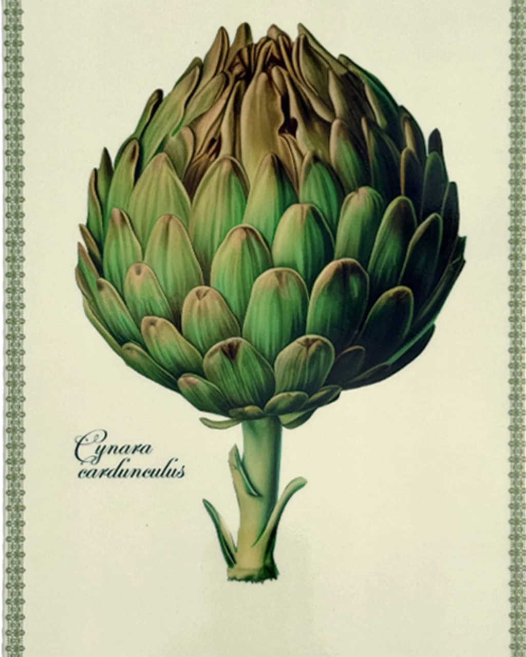 Vassoio / Mattonella Carciofo
