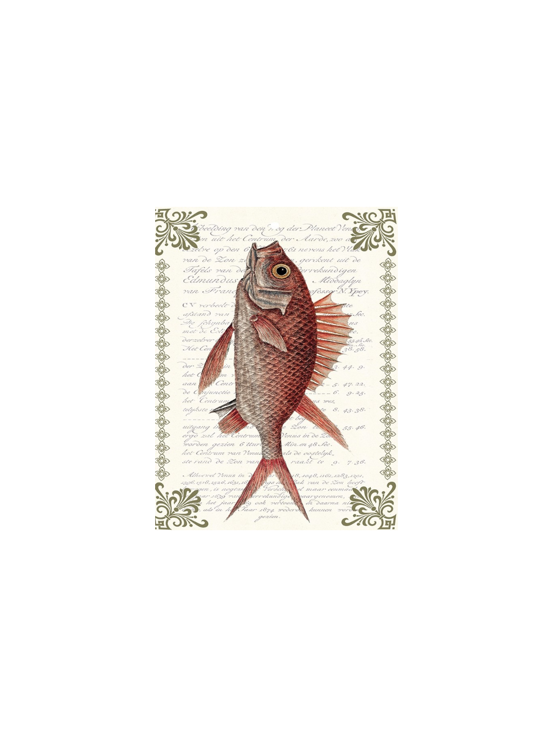 Vassoio/ mattonella Pesce