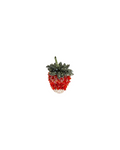 Spilla fragola