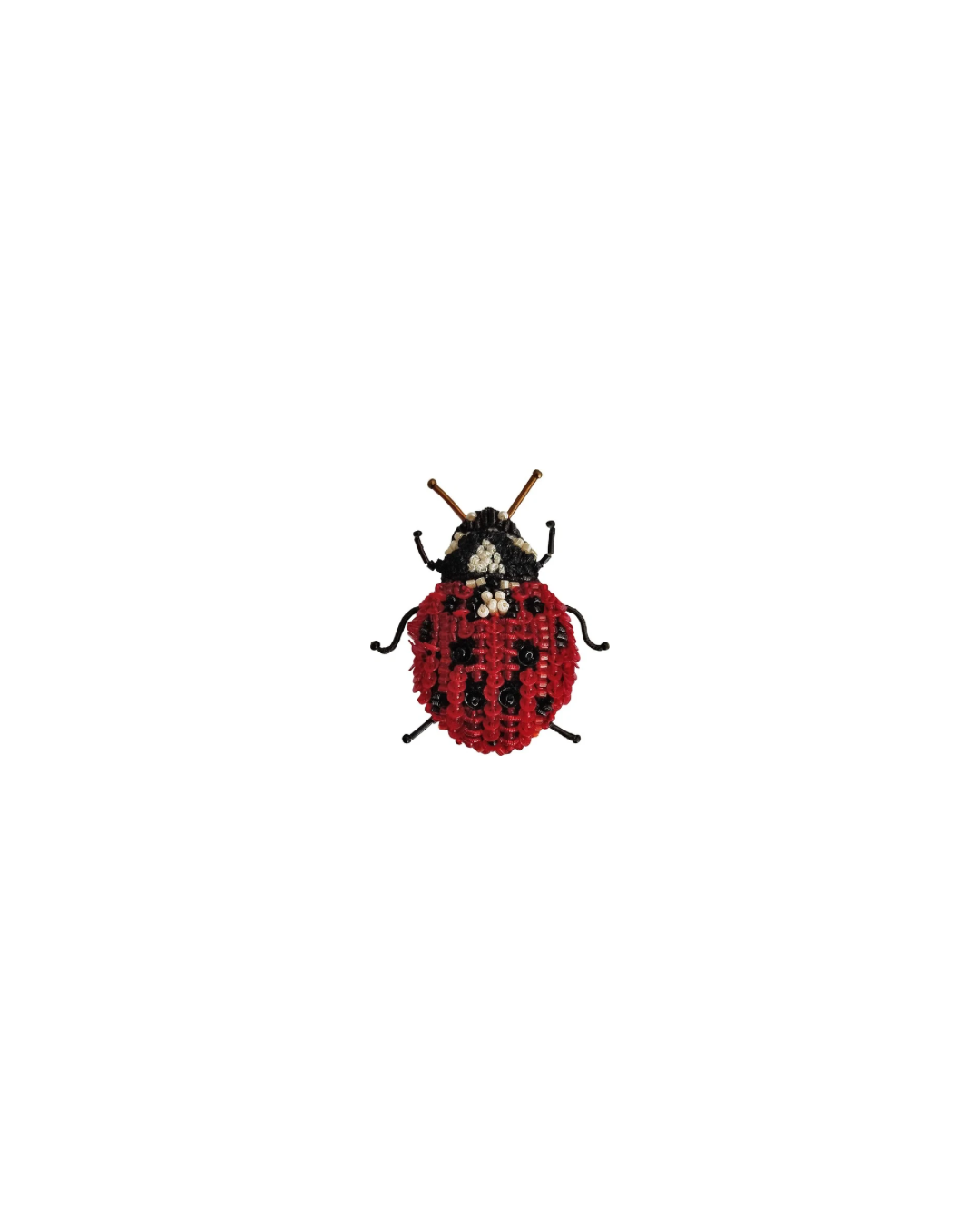 Spilla coccinella