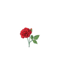 Spilla rosa rossa
